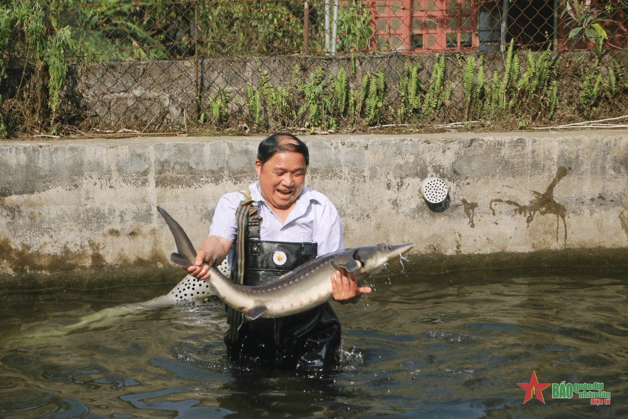 Người nông dân trở thành tỷ phú nhờ nuôi cá nước lạnh