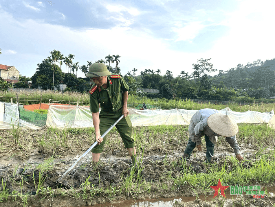 Phú Thọ: Cùng nhân dân gieo cấy vụ Hè Thu