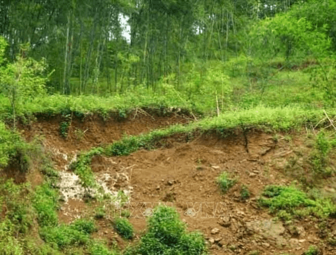 Thanh Hóa: Chủ động ứng phó bão số 2 và mưa lũ