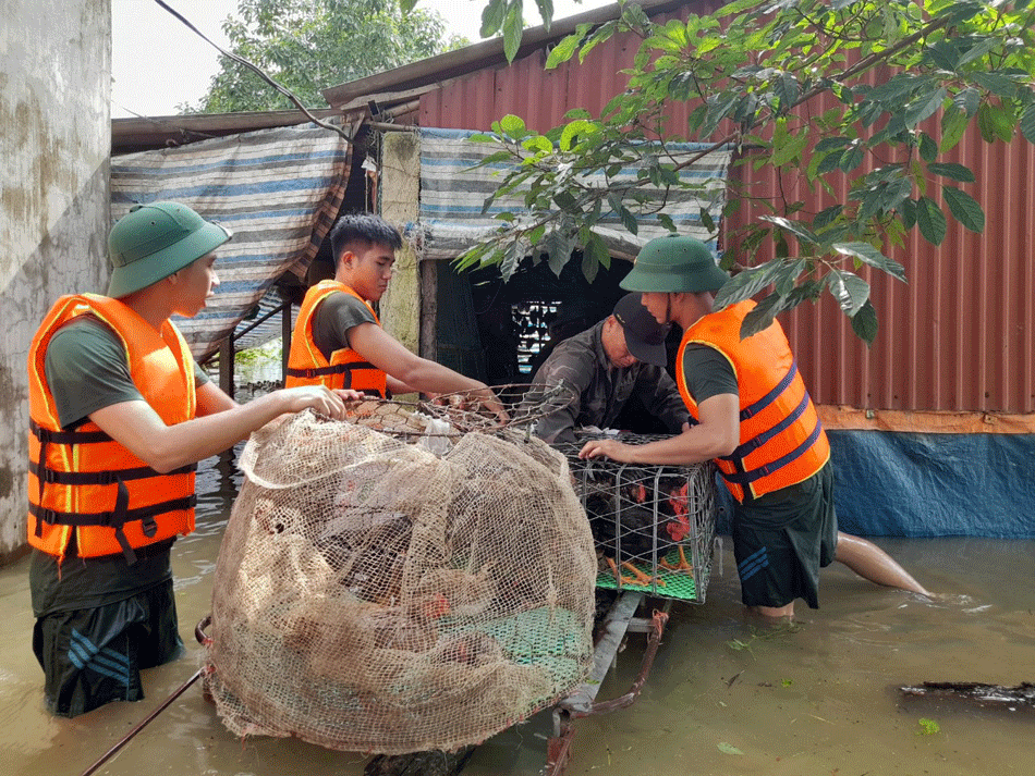 Trường Sĩ quan Đặc công: Gần 200 cán bộ, học viên giúp nhân dân khắc phục hậu quả thiên tai