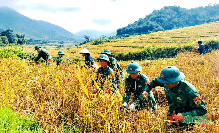 Bộ đội Biên phòng tỉnh Thanh Hóa: Tạo sinh kế cho người dân biên giới