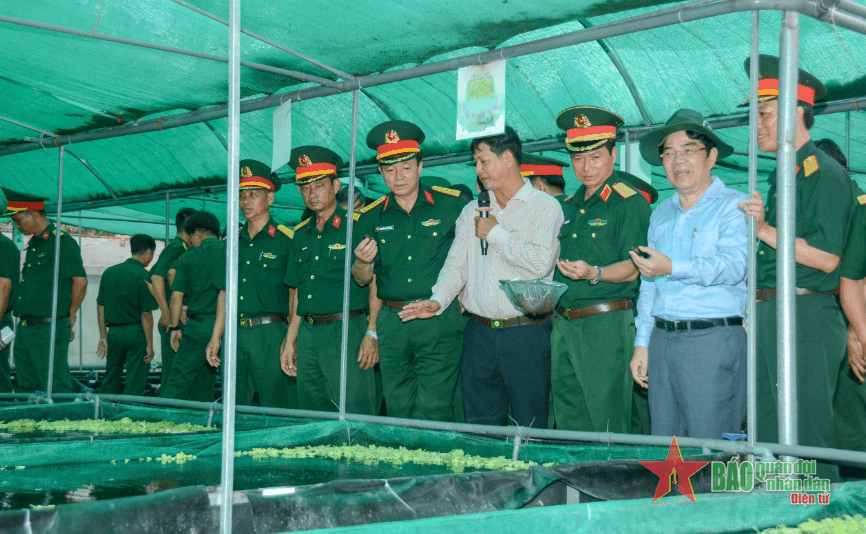 Triển khai làm điểm về tăng gia sản xuất để nhân rộng cách làm hay