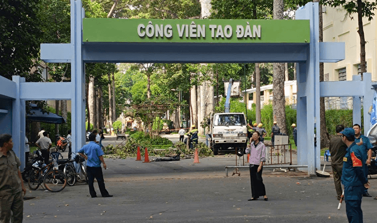 Thành phố Hồ Chí Minh: Nhánh cây xanh bất ngờ gãy khiến nhiều người bị thương