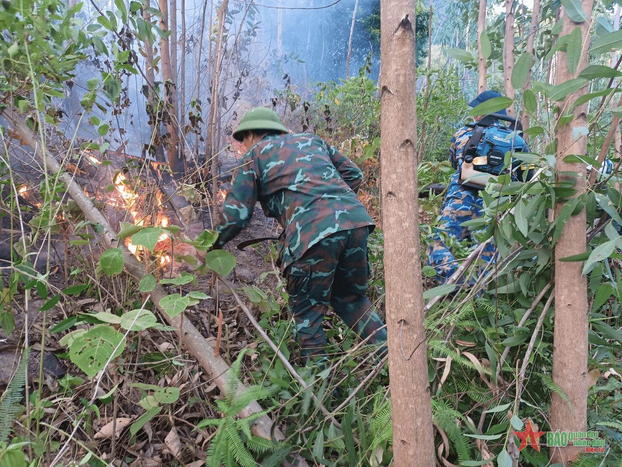 Quảng Bình: 450 người tham gia chữa cháy rừng

​