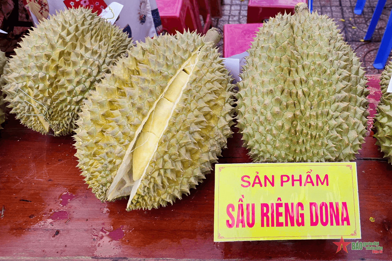 Khánh Sơn tổ chức hội thi trái cây ngon, sầu riêng siêu to