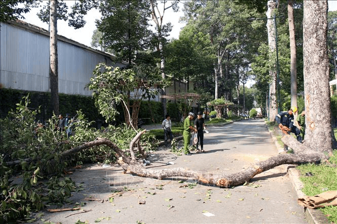 Chi trả toàn bộ chi phí điều trị, hỗ trợ tang lễ cho gia đình các nạn nhân