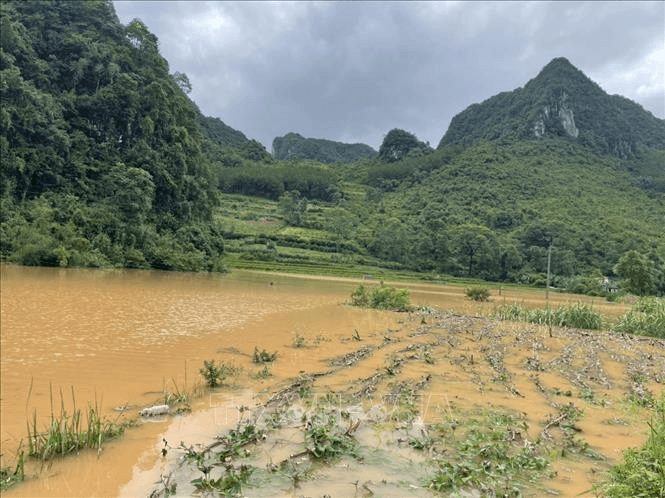 Chuyên gia cảnh báo các điểm nguy cơ lũ quét, sạt lở đất ở 12 tỉnh miền núi phía Bắc