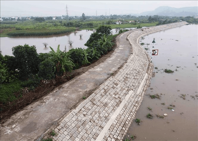 Tăng cường công tác tuần tra canh gác, đảm bảo an toàn đê điều