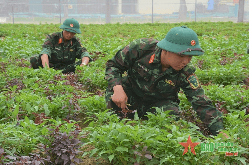 “Thực túc” tại Bộ Chỉ huy Quân sự tỉnh Nghệ An