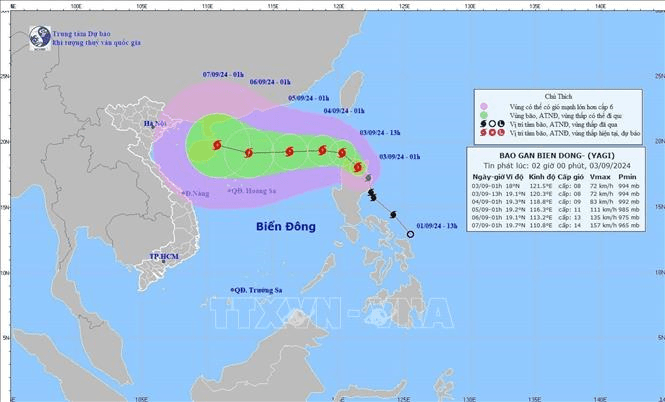 Ứng phó với bão số 3: Thanh Hóa quản lý chặt chẽ các phương tiện ra khơi