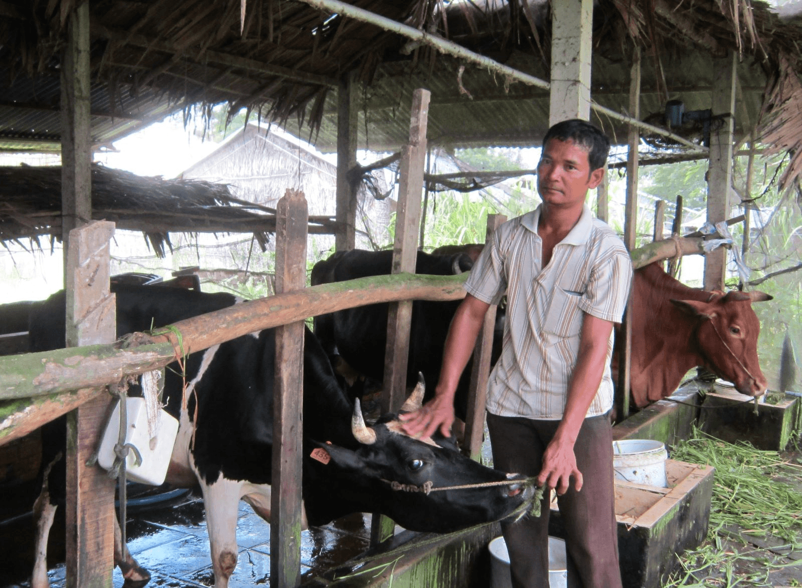Diện mạo mới vùng đồng bào Khmer ở Sóc Trăng