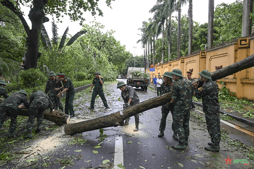 Hơn 25.000 cây xanh ở Hà Nội gãy đổ do bão số 3