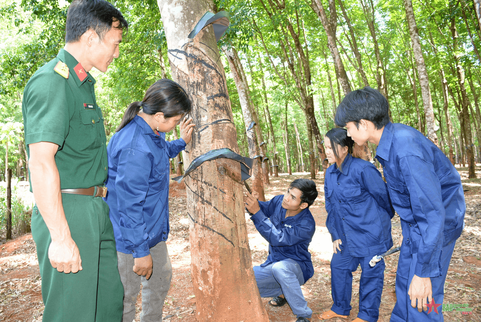 Kpuih Mol - người công nhân say mê lao động