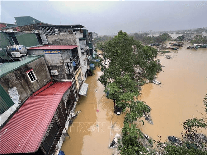 Khẩn trương chống lũ tại các xã ven sông Tích, sông Đáy ở huyện Quốc Oai (Hà Nội)