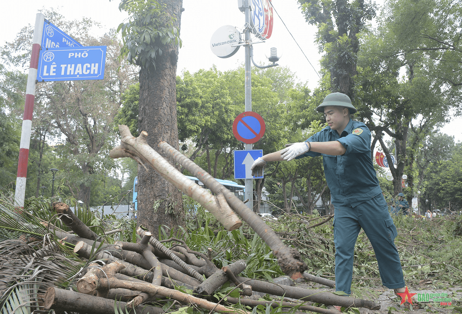 Hoàn Kiếm: Lực lượng vũ trang cùng đoàn viên thanh niên dọn cây xanh gãy đổ do bão số 3