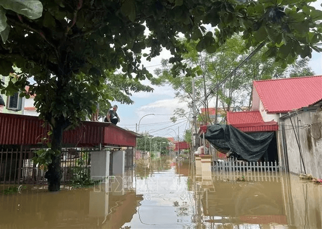 Ninh Bình dừng di dời người dân do lũ trên sông Hoàng Long đang xuống
