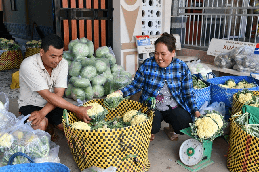 Thư về tòa soạn: Dấu ấn quân dân chung sức ở Tham Đôn
