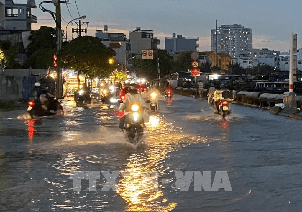 Mưa dông cùng triều cường đạt đỉnh khiến cây đổ, đường ngập tại TP Hồ Chí Minh