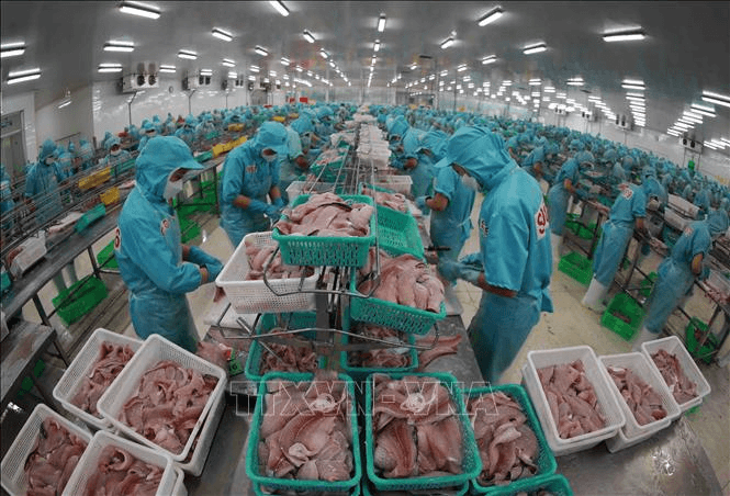 Bộ Thương mại Mỹ tuyên bố Việt Nam không bán phá giá sản phẩm cá tra