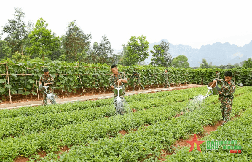 Tình yêu lao động - một đức tính quý báu của Bộ đội Cụ Hồ
