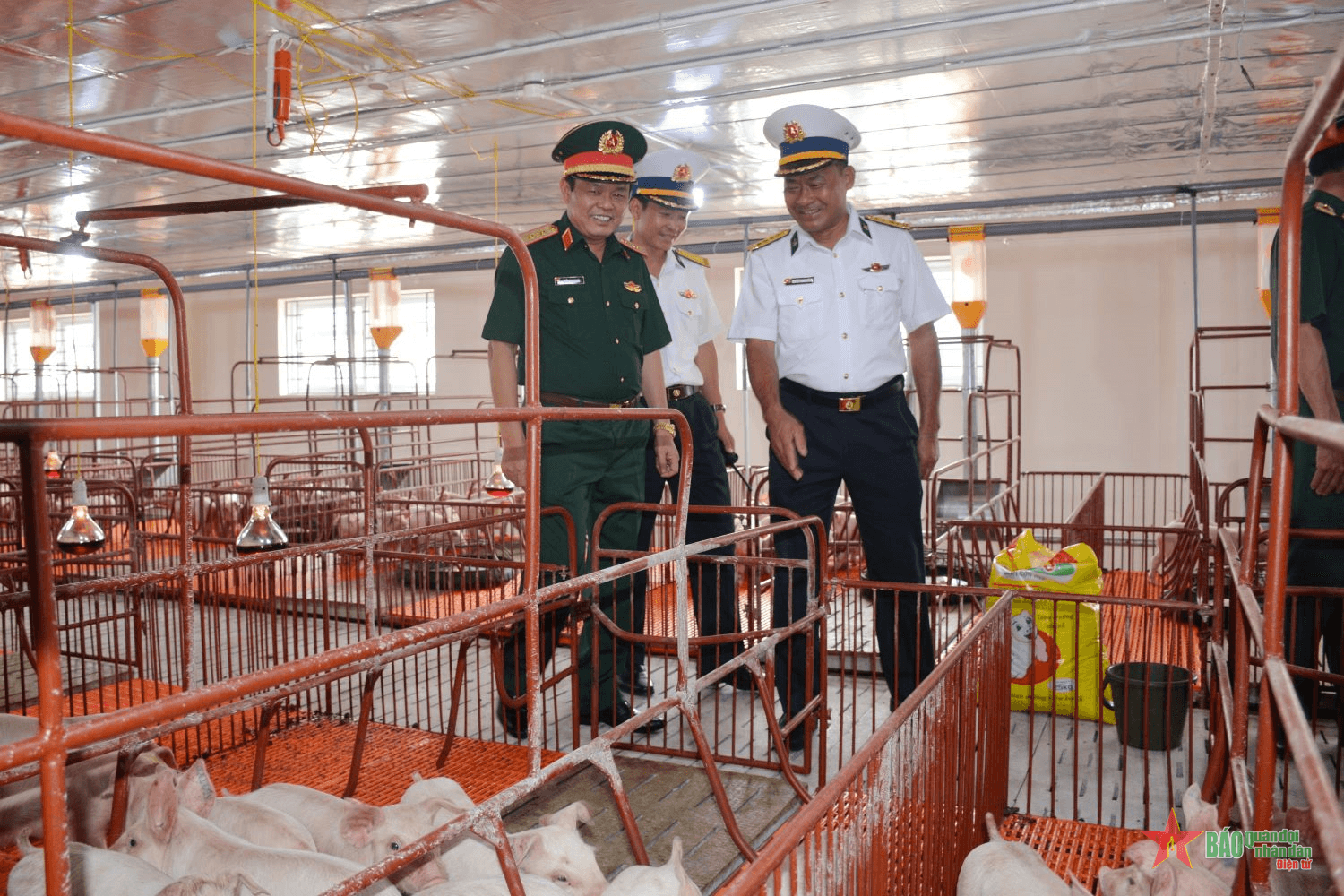 Hiệu quả khu tăng gia sản xuất chế biến tập trung của Vùng 4 Hải quân từ dự án QN-21