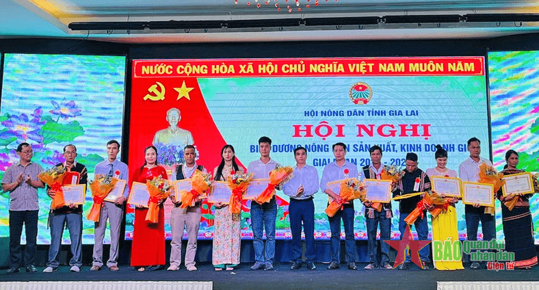 Hơn 9.000 lượt hội viên, nông dân tỉnh Gia Lai được đào tạo nghề trong giai đoạn 2022-2024