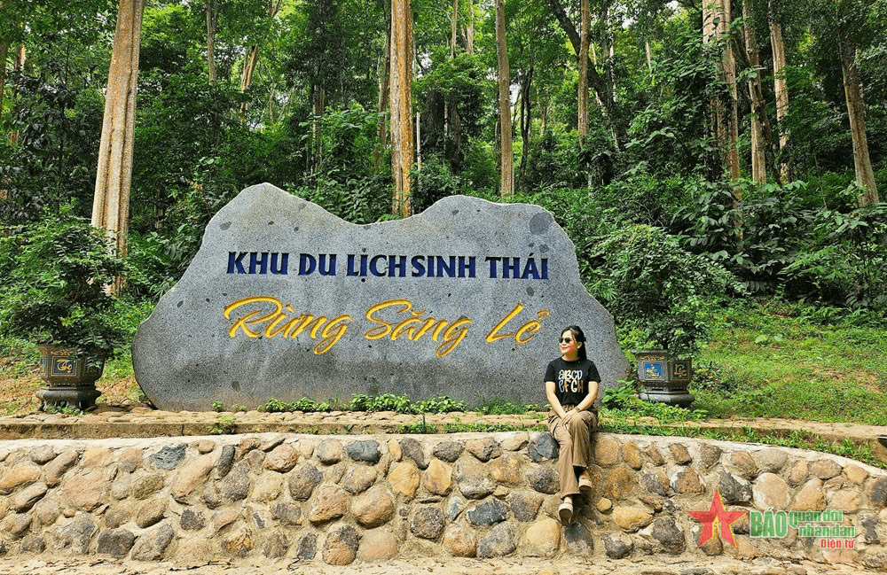 Nét đẹp khu rừng săng lẻ nguyên sinh ở xứ Nghệ