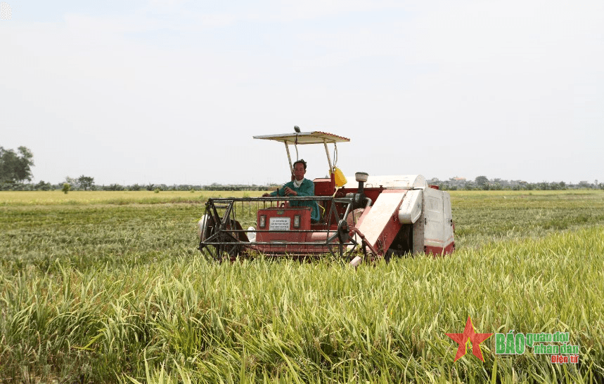 Thái Bình và những nghị quyết “mở đường” phát triển - Bài 3: Nghị quyết làm thay đổi nông thôn và đời sống nông dân