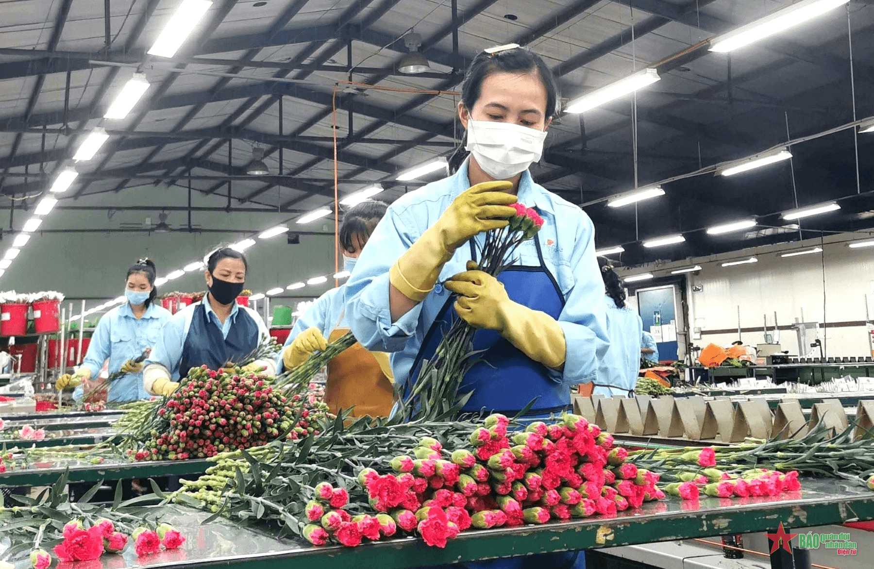 Vì sao doanh nghiệp chưa “mặn mà” đầu tư vào Lâm Đồng?