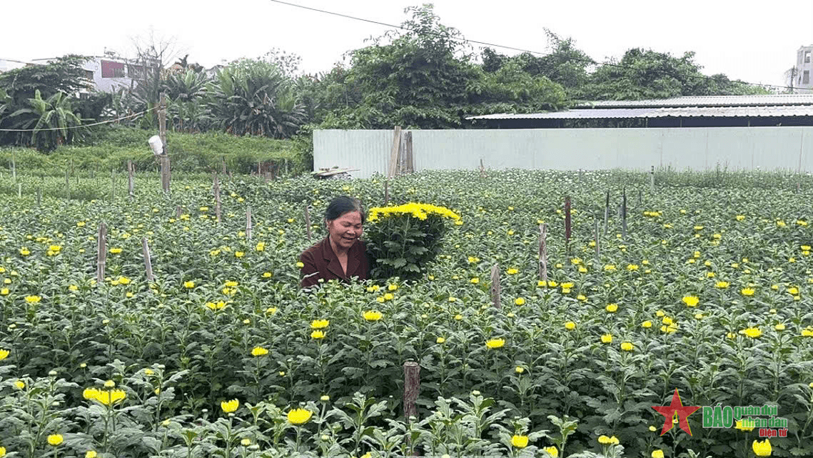 Nghề trồng hoa truyền thống Hạ Lũng