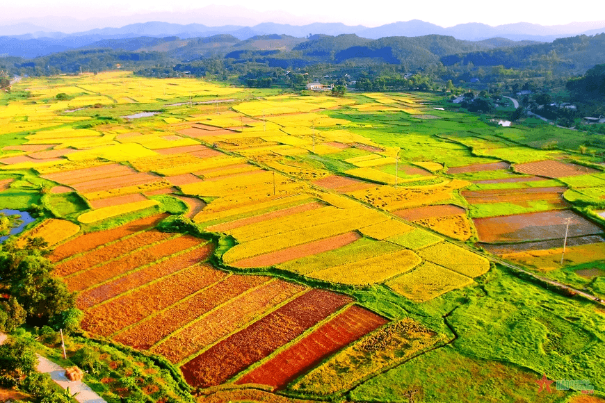 Hỏi-Đáp pháp luật: Lấn đất hoặc chiếm đất có thể bị xử phạt tới 1 tỷ đồng