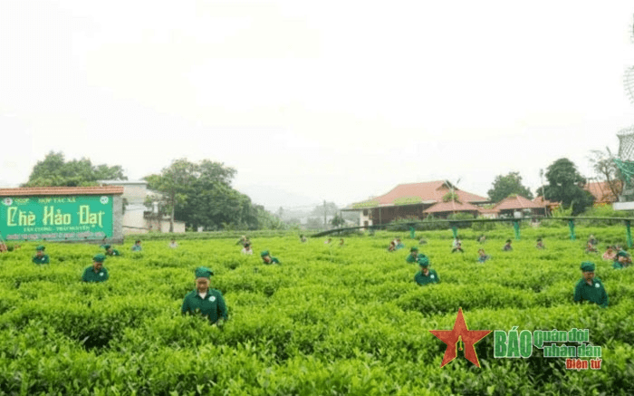 Loạt chính sách kinh tế mới có hiệu lực từ tháng 11-2024