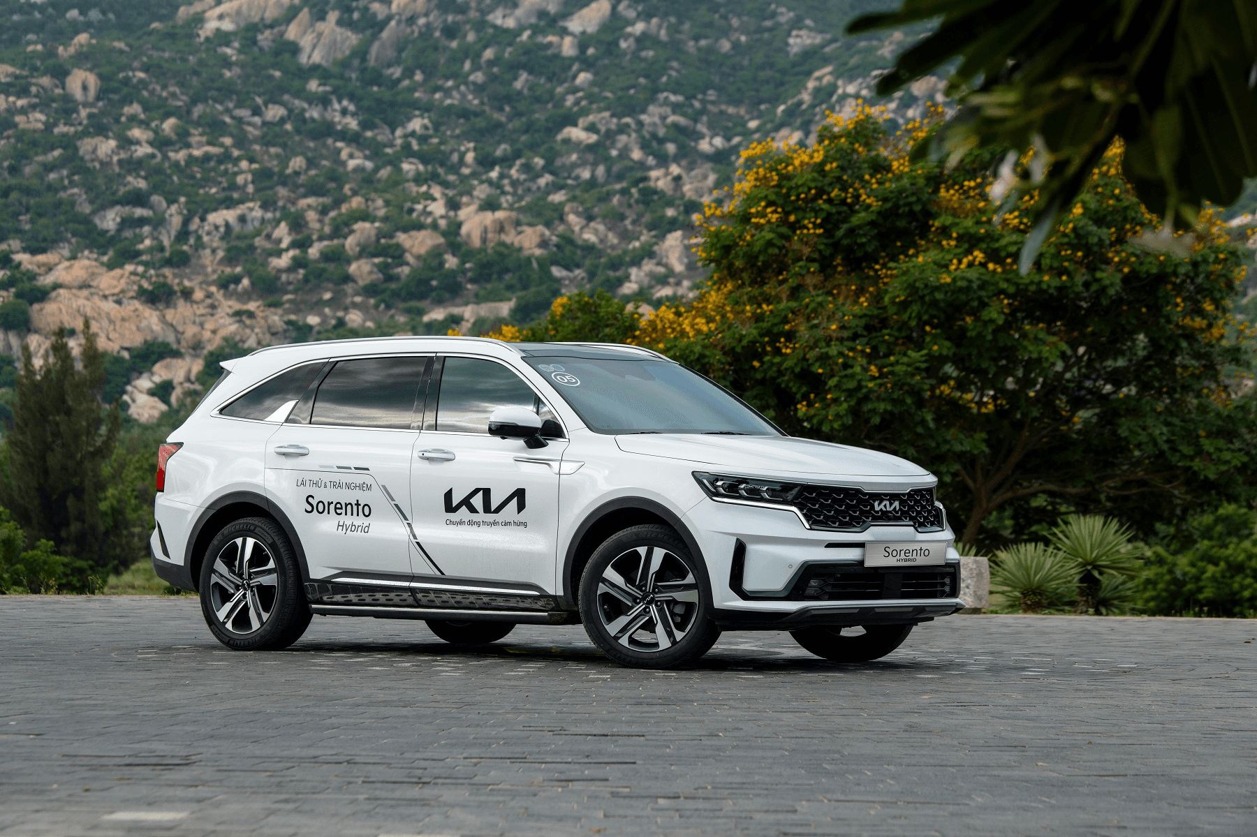 Cơ hội vàng: Sở hữu xe Kia tiết kiệm lên đến 170 triệu đồng