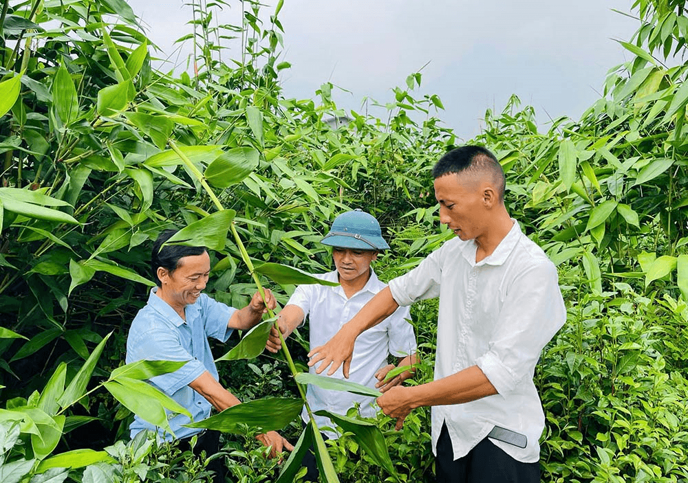 Xứng đáng người cán bộ “dân tin, Đảng cử”