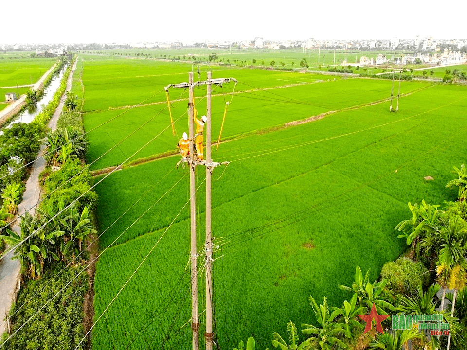 Tiên phong chuyển đổi, đưa dòng điện vươn xa