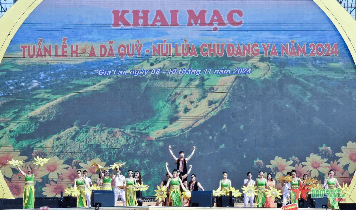 Gia Lai: Khai mạc Tuần lễ hoa dã quỳ - Núi lửa Chư Đang Ya năm 2024