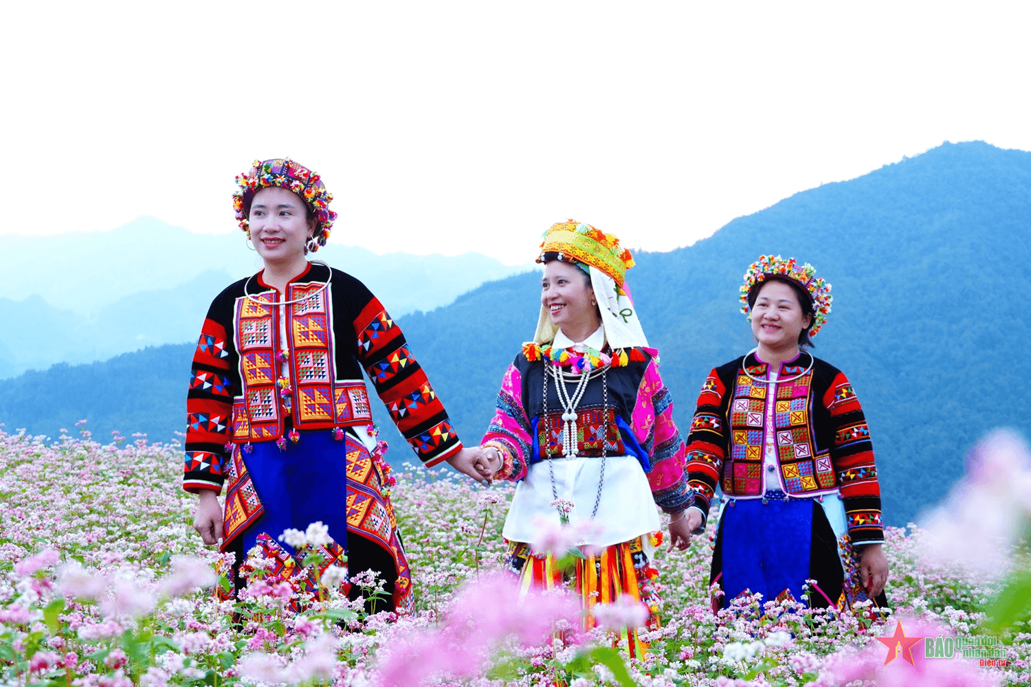 Du khách “nườm nượp” ngắm hoa tam giác mạch trên cao nguyên đá Hà Giang