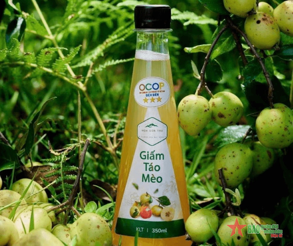 “Đại sứ OCOP” trên miền Tây Bắc