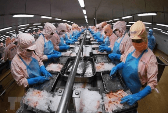 Hỏi - Đáp pháp luật: Hành vi cản trở hoạt động quản lý nhà nước về thủy sản bị xử phạt như thế nào?