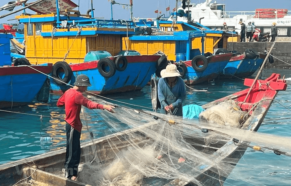 Pháp luật và cuộc sống: Vi phạm IUU: Hại nước, thiệt nhà