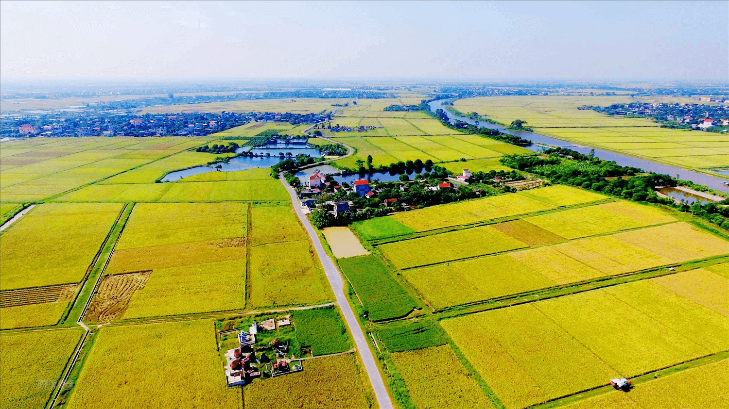 Hồi âm: Về thủ tục miễn, giảm tiền sử dụng đất cho bà Đàm Thị Quý