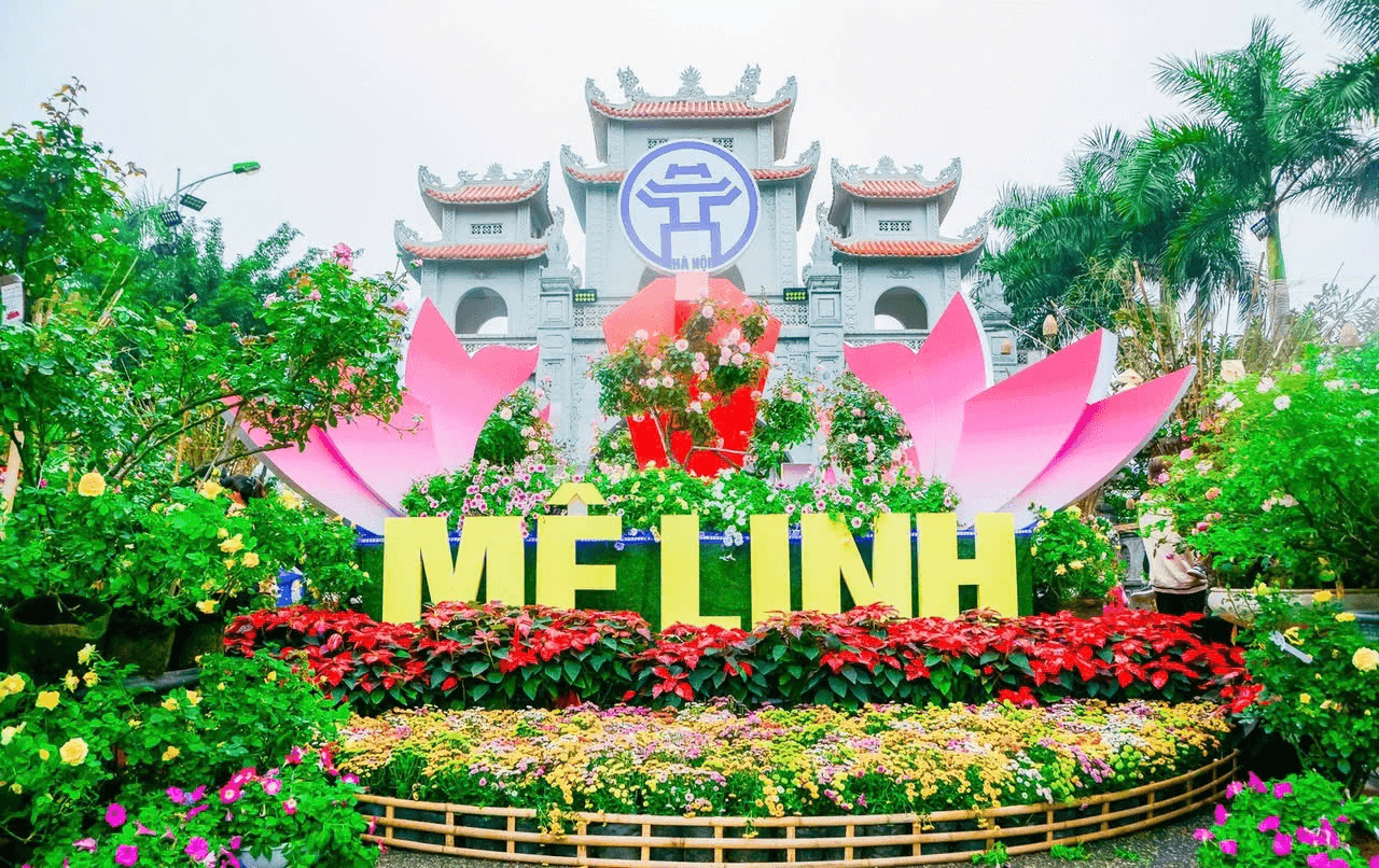 Lễ hội hoa lớn nhất Miền Bắc sắp diễn ra ở huyện Mê Linh, Hà Nội