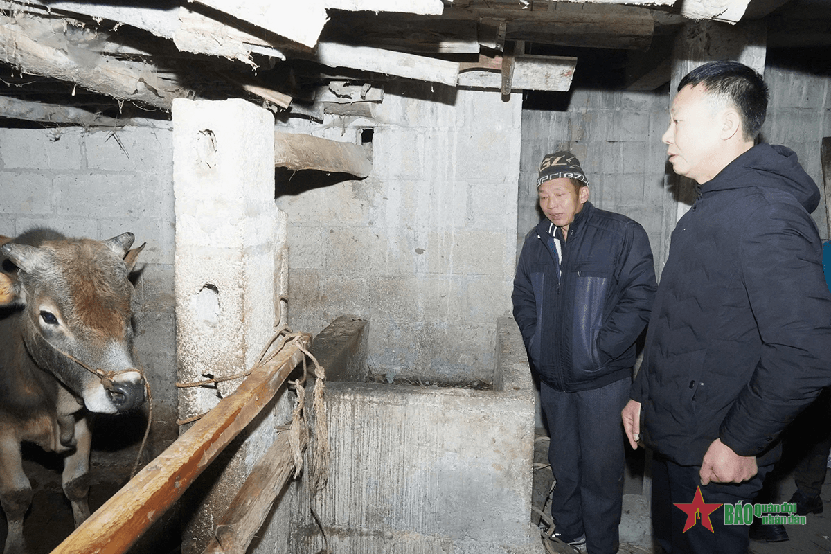 Huyện Mèo Vạc (Hà Giang): Kiểm tra công tác phòng chống rét tại các xã biên giới