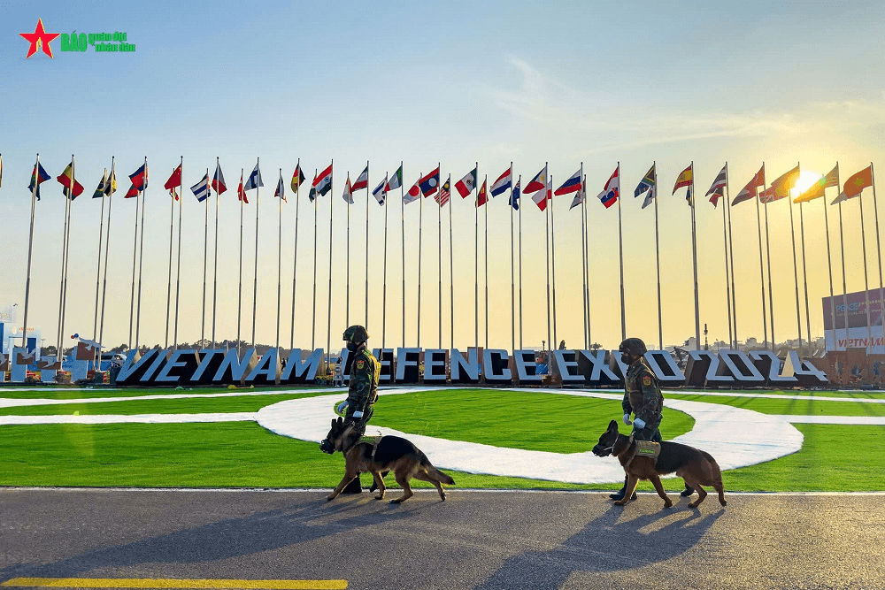 Triển lãm Quốc phòng quốc tế Việt Nam 2024: Sứ mệnh đặc biệt của những “chiến binh bốn chân”