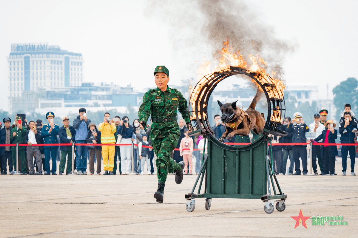 Quân khuyển Biên phòng trình diễn phục vụ người dân tham quan