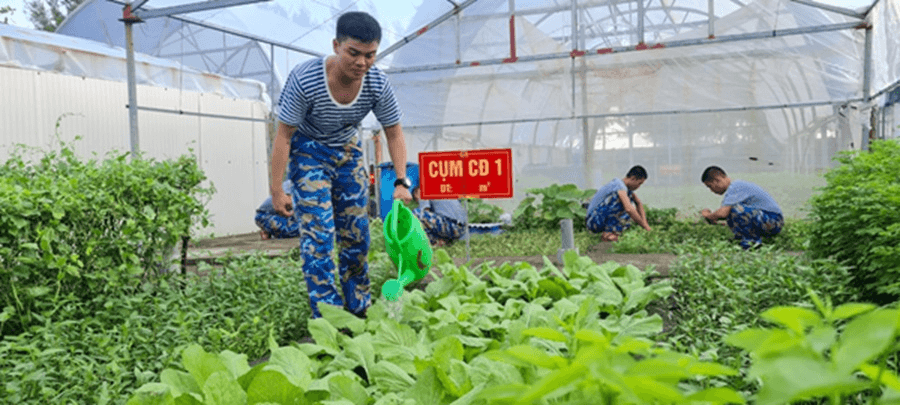 Những điều bổ ích, ý nghĩa trong hai năm quân ngũ