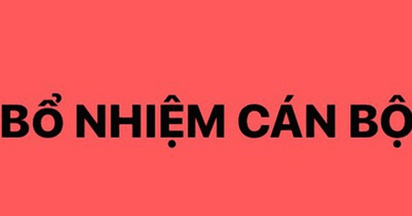 Thủ tướng Chính phủ bổ nhiệm lại 2 Thứ trưởng Bộ Tư pháp