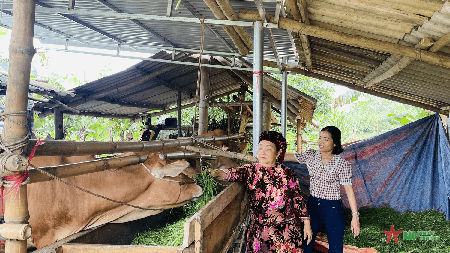 Huyện Vị Xuyên (Hà Giang) đa dạng các mô hình phát triển kinh tế