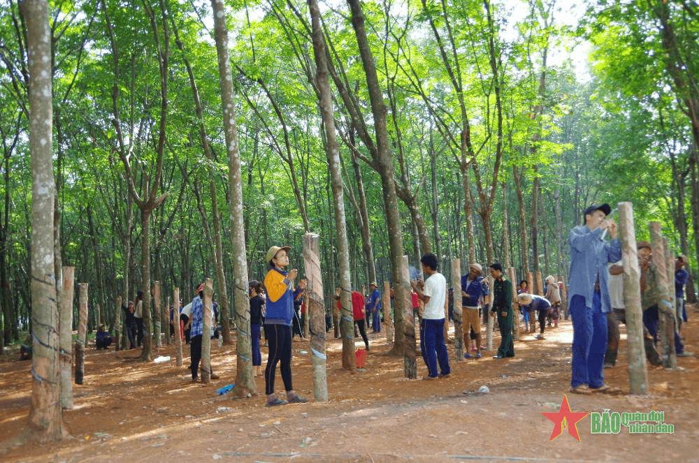 Trung đoàn 717 (Binh đoàn 16): Điểm sáng vùng biên