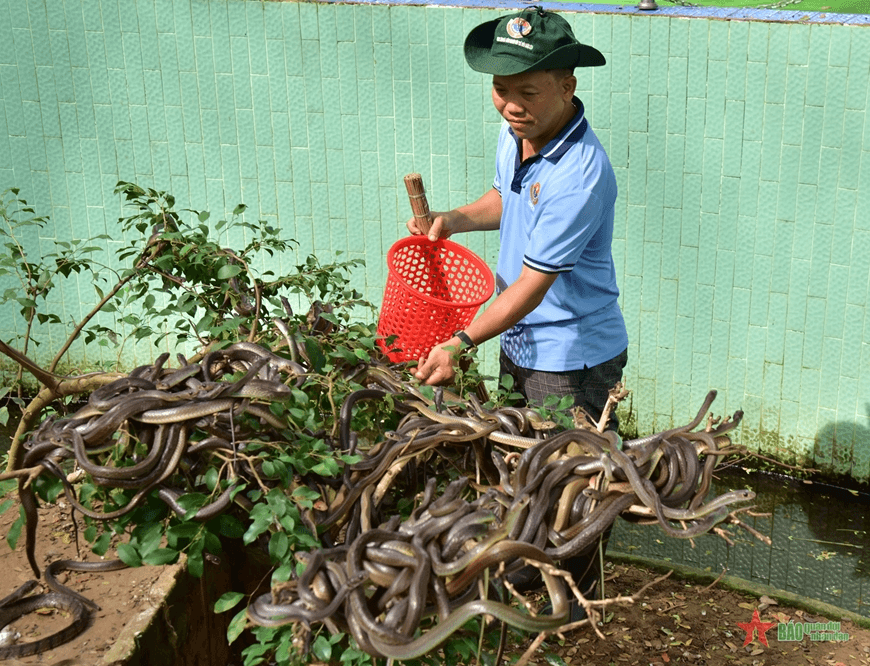 Khám phá "vương quốc rắn" lớn nhất miền Tây
